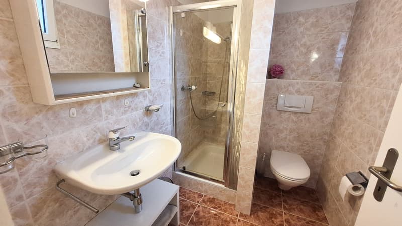 Ronco S/Ascona - 2.5 AMMOBILIATO- solo primario (ref. 189-8) (7)