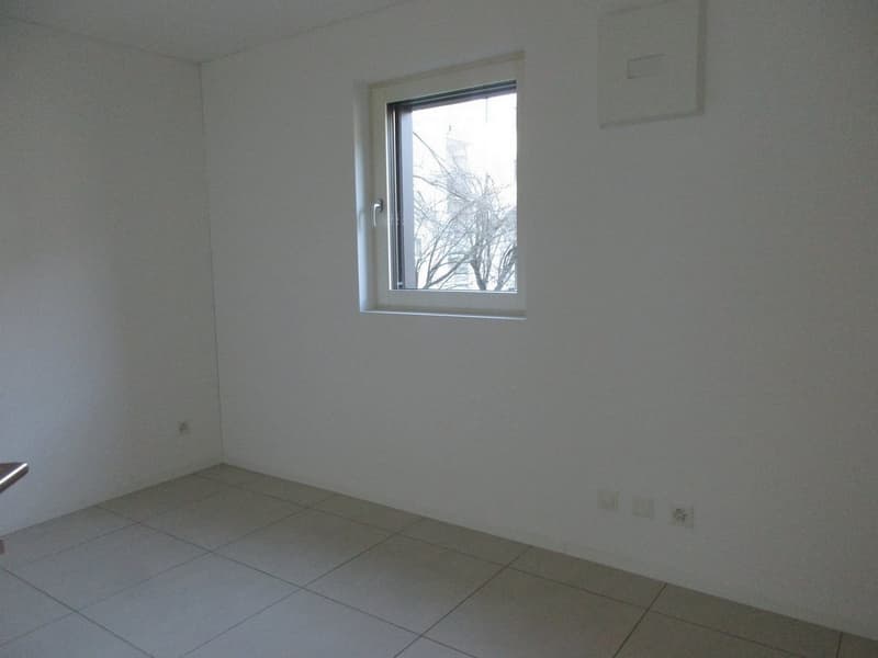 Contone - luminoso appartamento di 3.5 locali (ref. 48-999) (8)