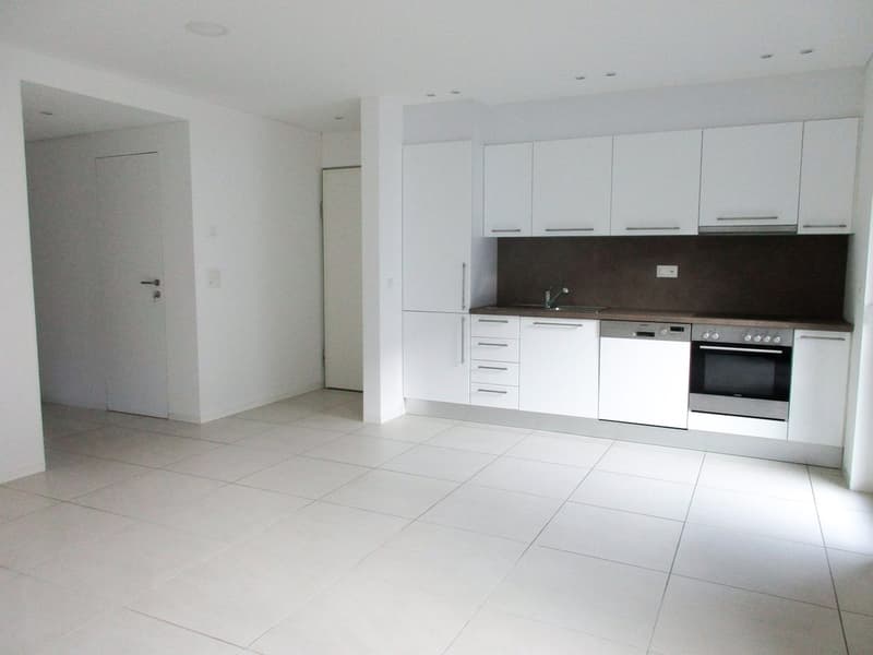 Contone - luminoso appartamento di 3.5 locali (ref. 48-999) (1)