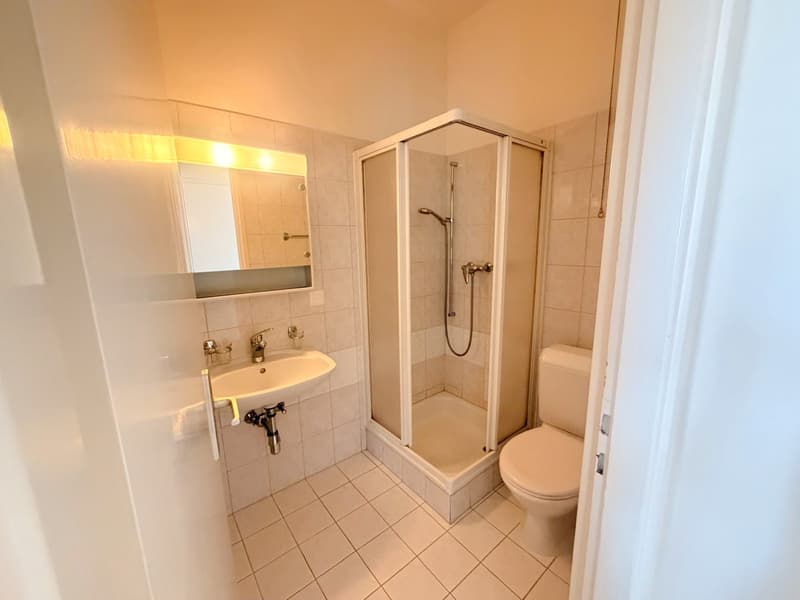 Muralto - monolocale - solo come res. secondaria (ref. 141-2) (4)