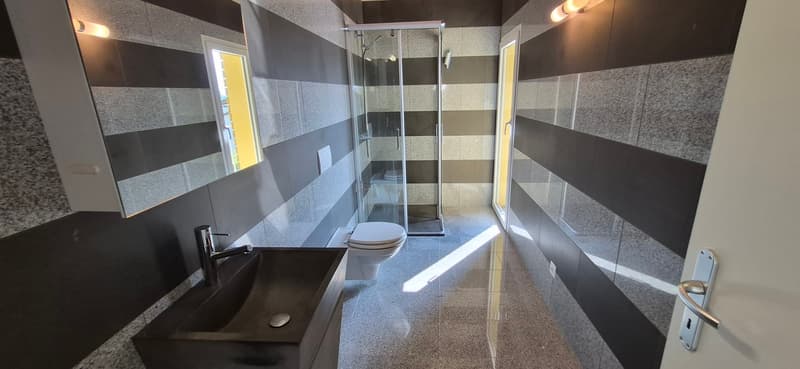 Losone - spazioso appartamento di 2 locali attico (ref. 1514-3) (9)