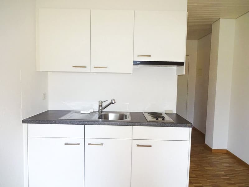 Muralto - grazioso monolocale (ref. 451-700) (3)