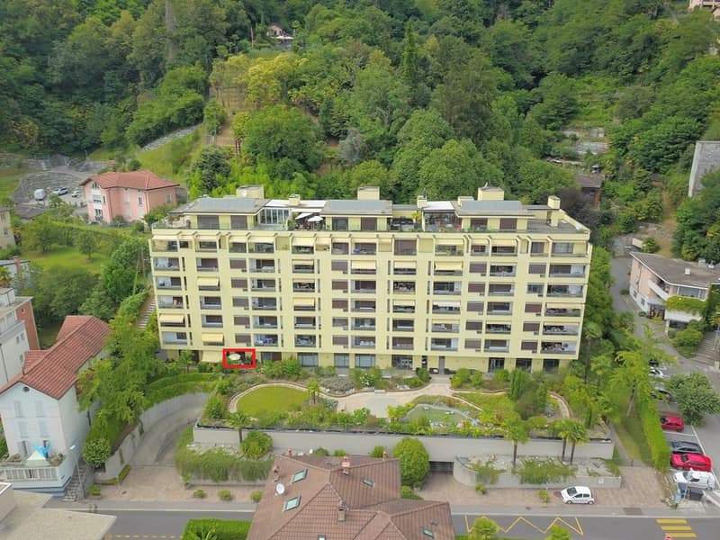 Muralto - grazioso monolocale (ref. 451-700) (9)