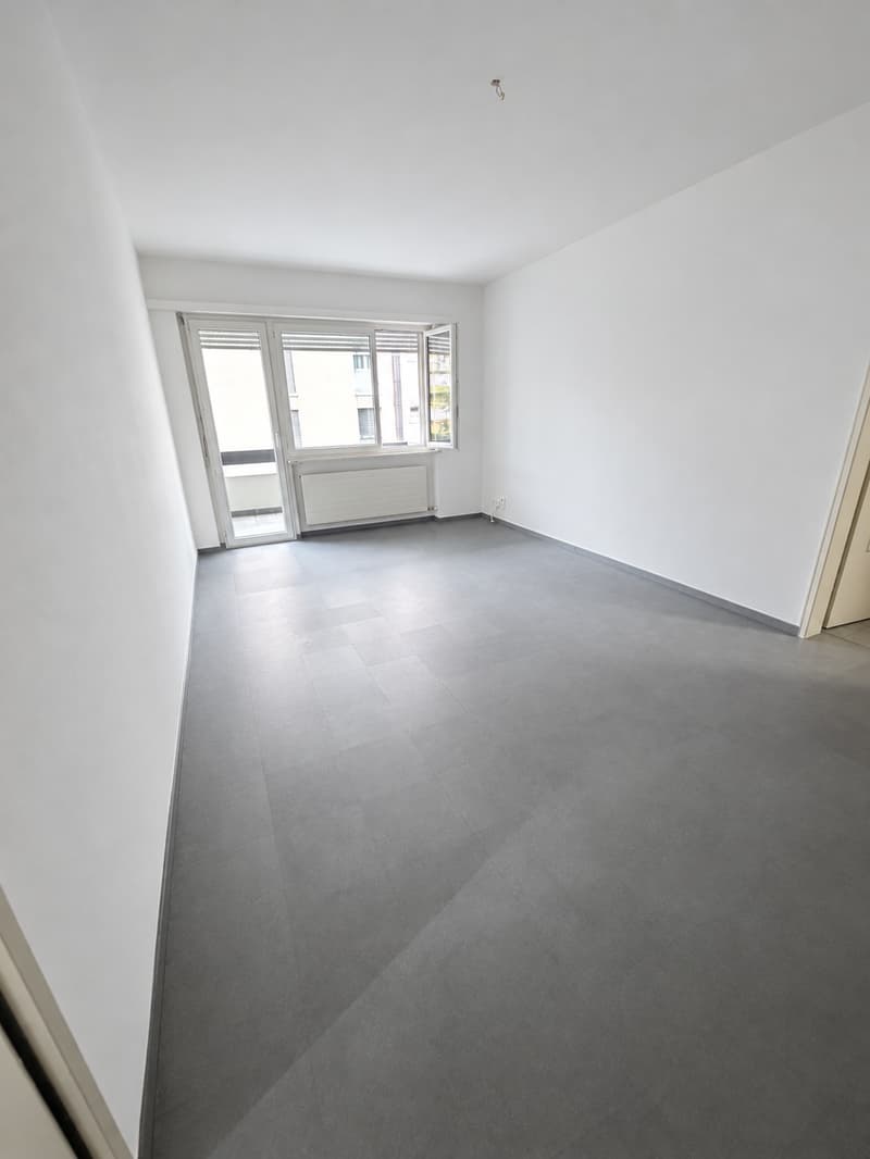 Locarno - ampio 4.5 locali (ref. 165-7) (2)
