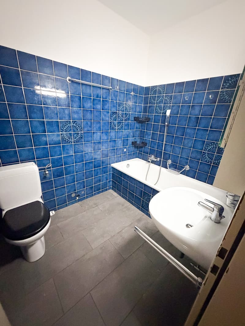 Locarno - ampio 4.5 locali (ref. 165-7) (9)
