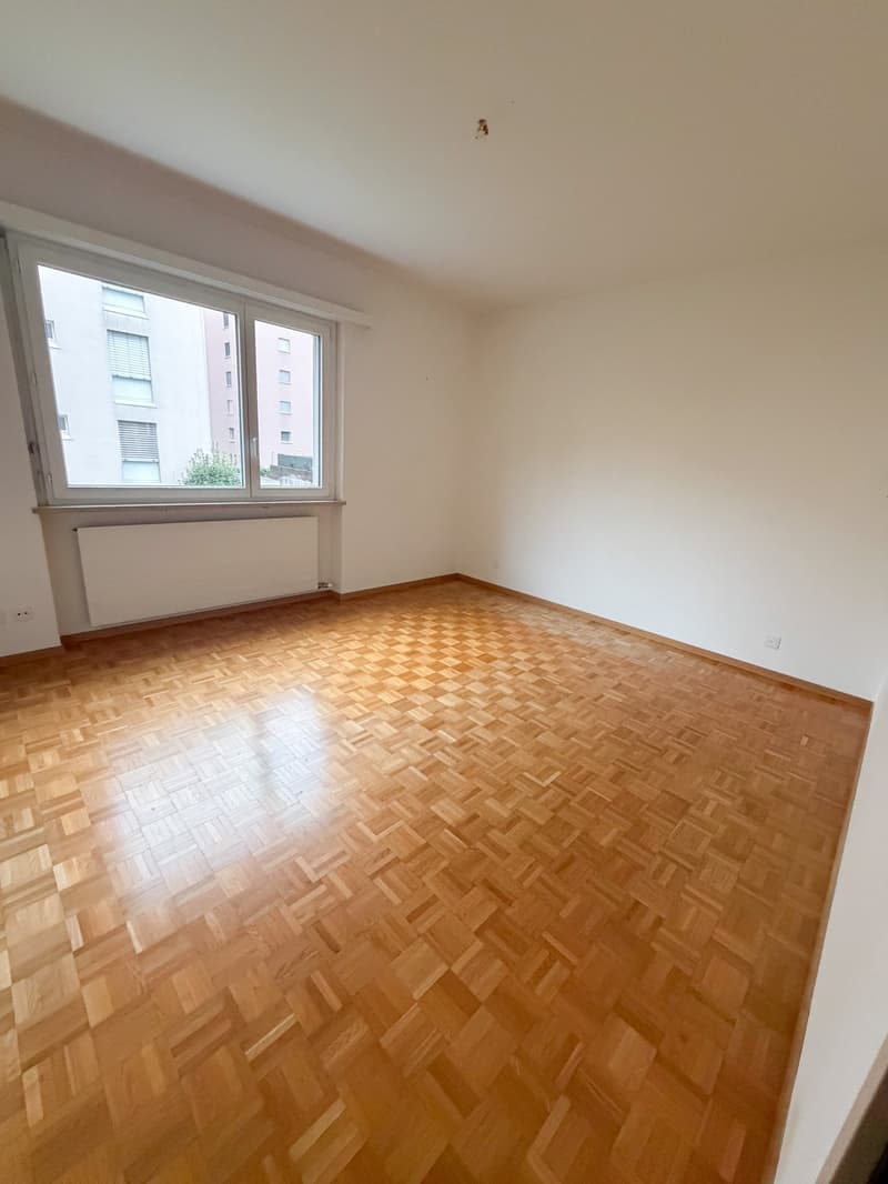 Locarno - ampio 4.5 locali (ref. 165-7) (7)