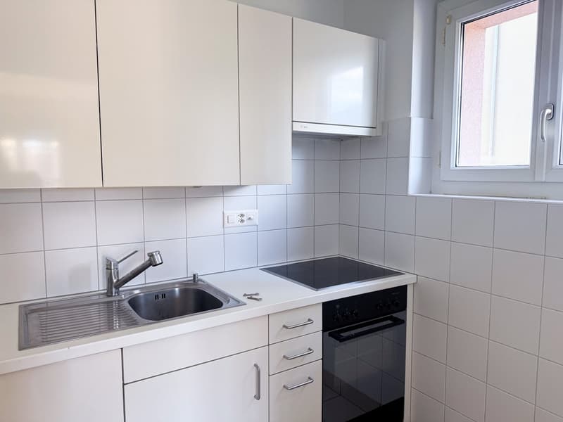Ascona - grazioso 3.5 locali (ref. 27-7) (2)