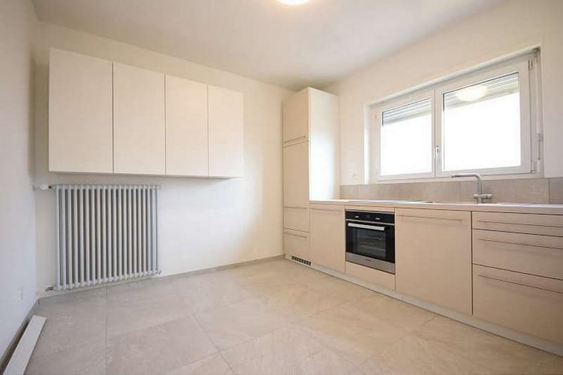 Bellinzona/Carasso - 3.5 locali all'ultimo piano (ref. 365-8) (1)