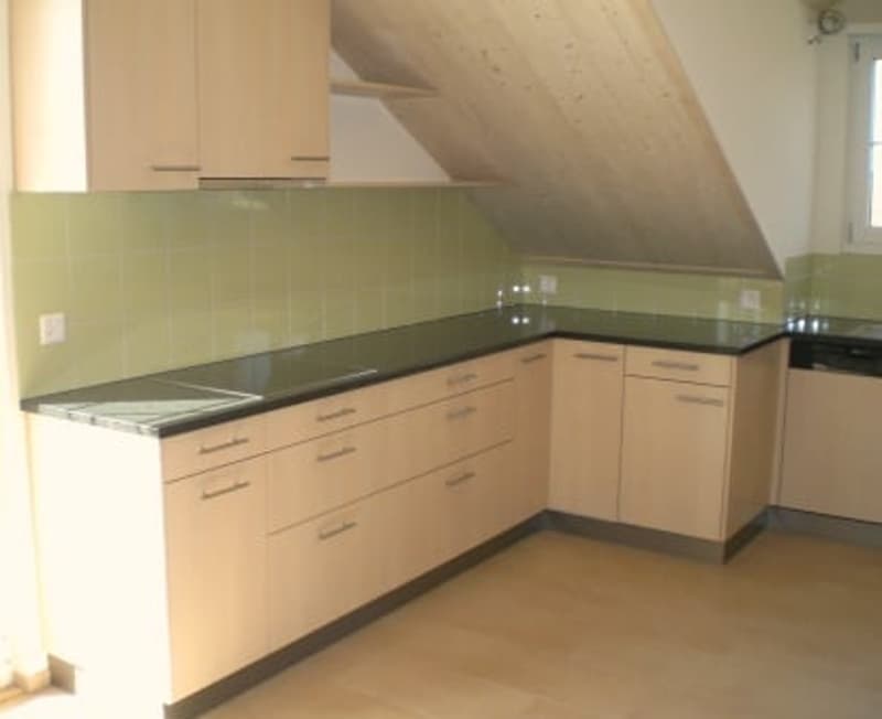 Charmante 3 1/2-Zimmerwohnung DG (2)
