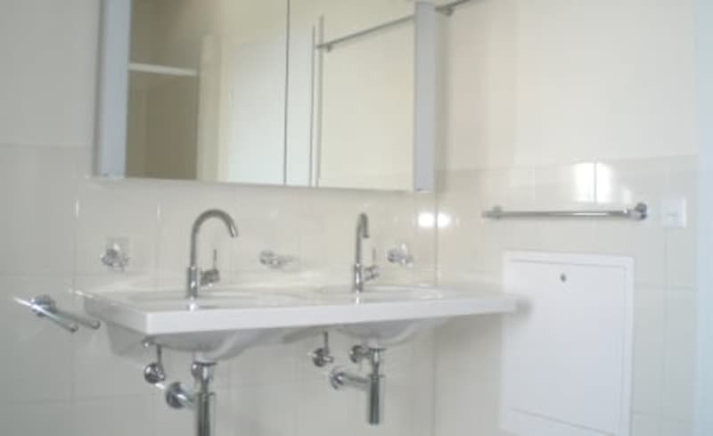 Charmante 3 1/2-Zimmerwohnung DG (8)