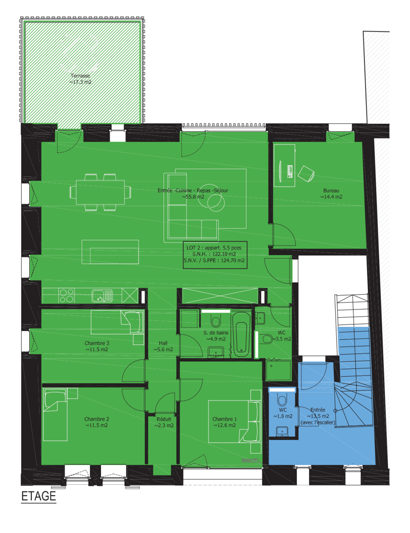 Floor plan showing a layout with an entrance, kitchen, dining area, living room, three bedrooms, two bathrooms, a study, and a terrace.