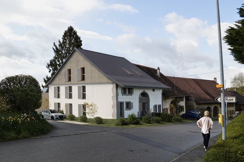 A modern house with a gray roof and white walls, surrounded by greenery and a car parked in front.