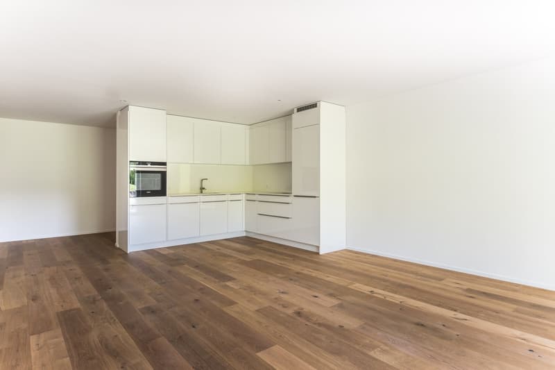 Modern 3.5-room apartment in Oberhelfenschwil – New building with seating area and magnificent view (2)