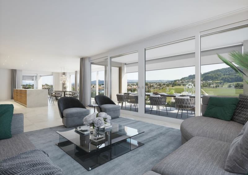 Exclusive Penthouse Apartment (3)