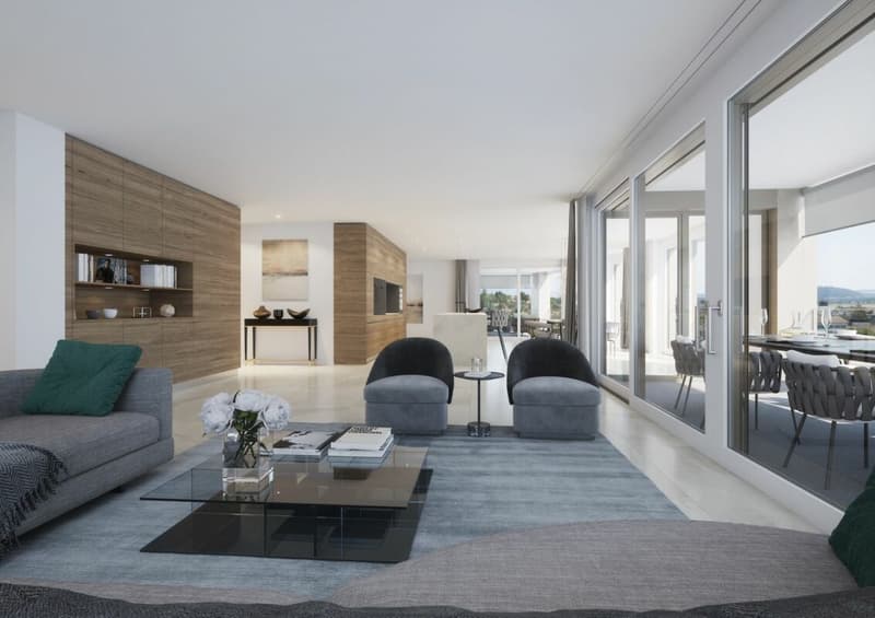 Exclusive Penthouse Apartment (4)