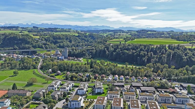 Vista panoramica | Casa C1 (5)