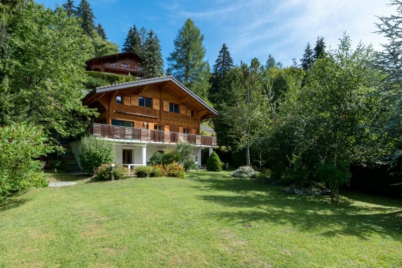 Chalet individuel de 9 pièces entièrement rénové en 2012 (29)