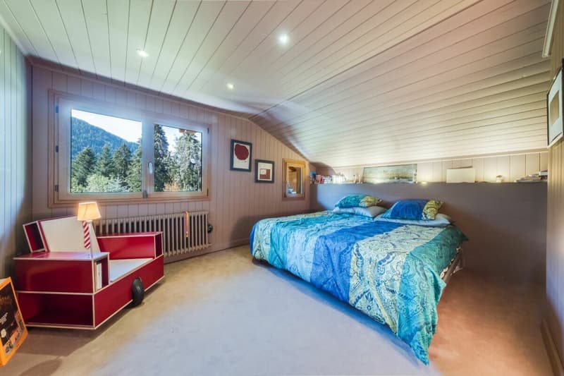 Chalet individuel de 9 pièces entièrement rénové en 2012 (12)