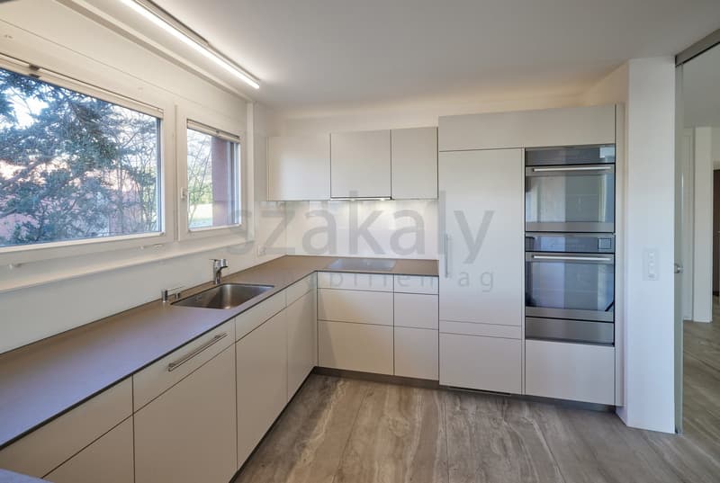 modern design, white cabinets, granite countertop, stainless steel appliances, double oven, built-in dishwasher, double sink, large windows