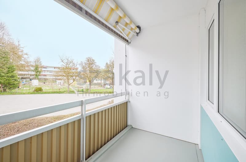 Balcony with white railing, white walls, white floor, white ceiling, white window, metal wall panel
