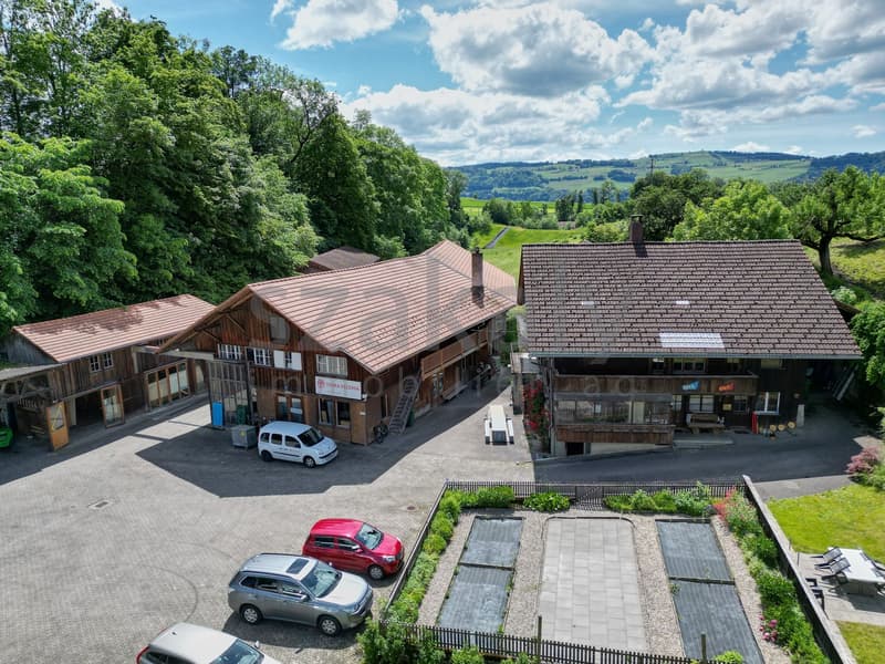 Appartamento di 4½ locali per uso intermedio in un chalet (2)
