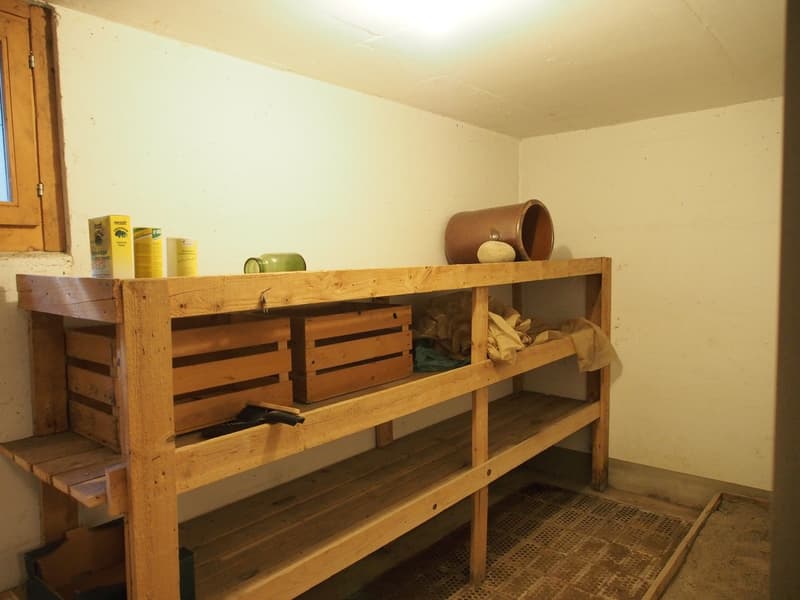 Ampia casa unifamiliare con giardino a Schüpfen (16)