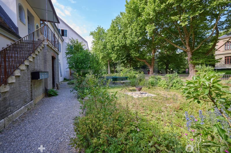 Dreifamilienhaus mit Charme in alterwürdigem Gemäuer (7)