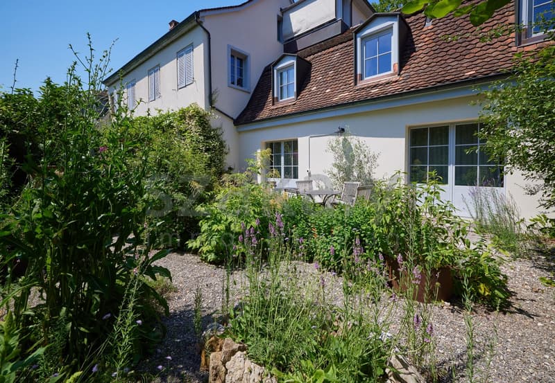 Dreifamilienhaus mit Charme in alterwürdigem Gemäuer (9)