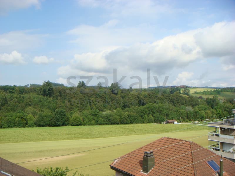 4-Zimmer-Duplex-Wohnung mit Terrasse in Zollikofen (8)