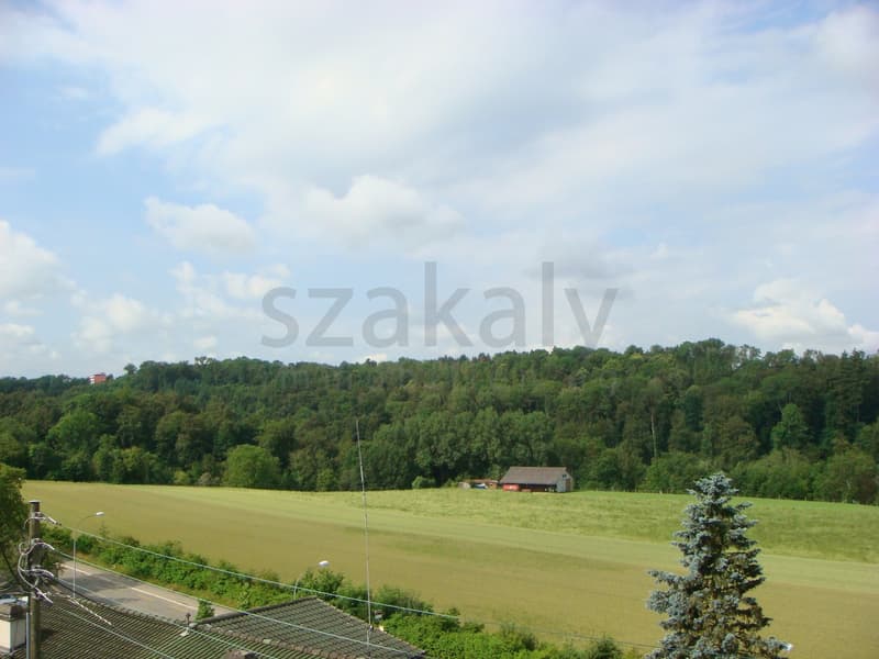 4-Zimmer-Duplex-Wohnung mit Terrasse in Zollikofen (9)