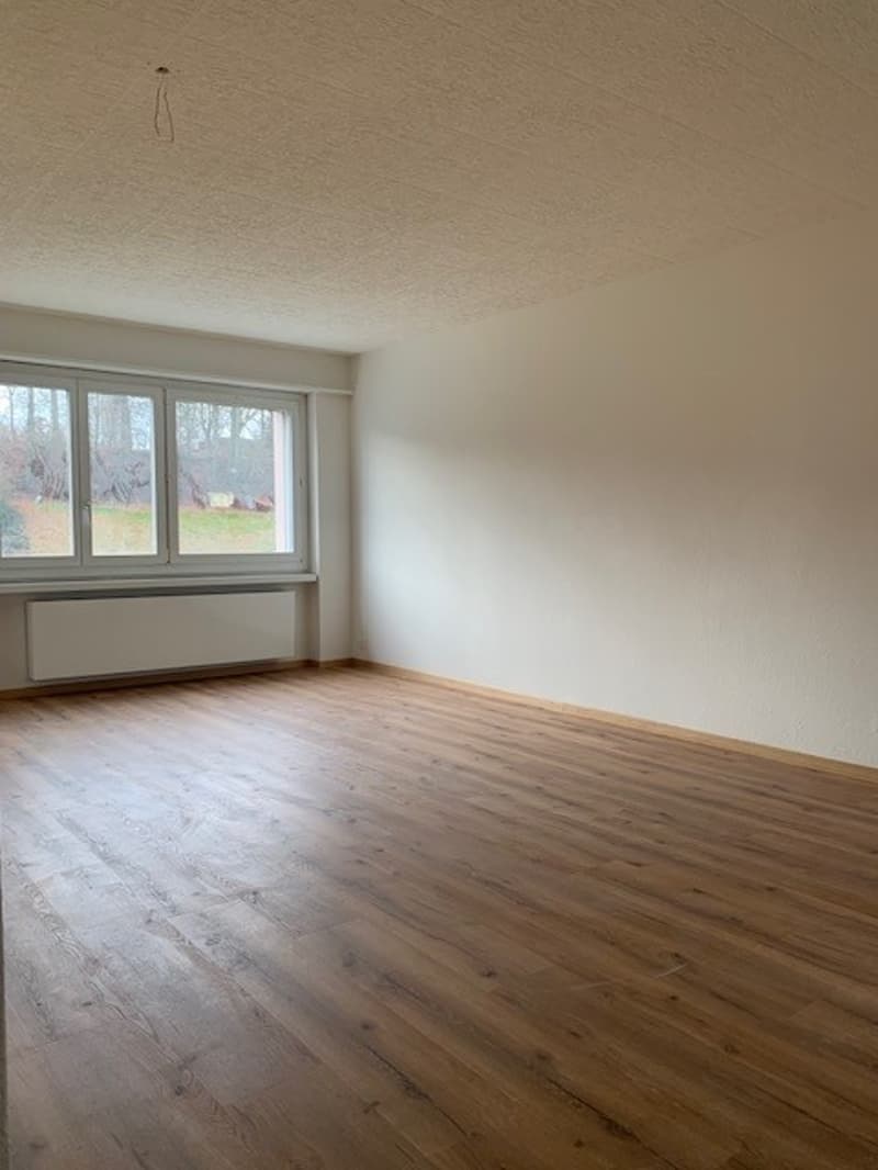 empty room, wooden floor, white walls, large window, radiator