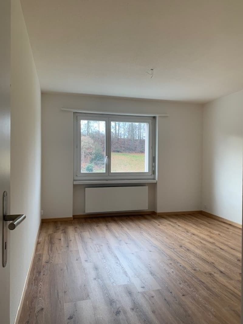 Empty room with wooden floor, white walls, large window, and a white radiator below the window.