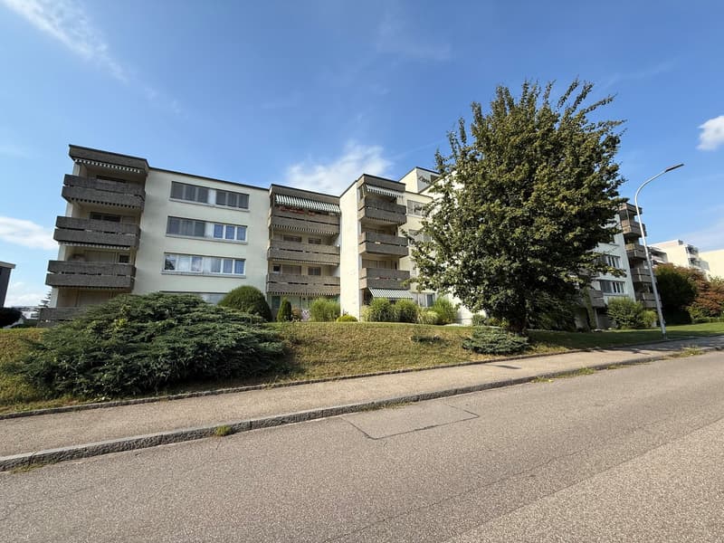 Moderne 2.5-Zimmer-Wohnung an der Fliederstrasse in Zofingen (2)
