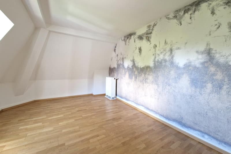 Altbauwohnung mit Charme (5)