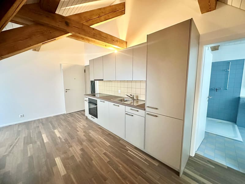 Attraente loft sopra i tetti di Langenthal! (2)