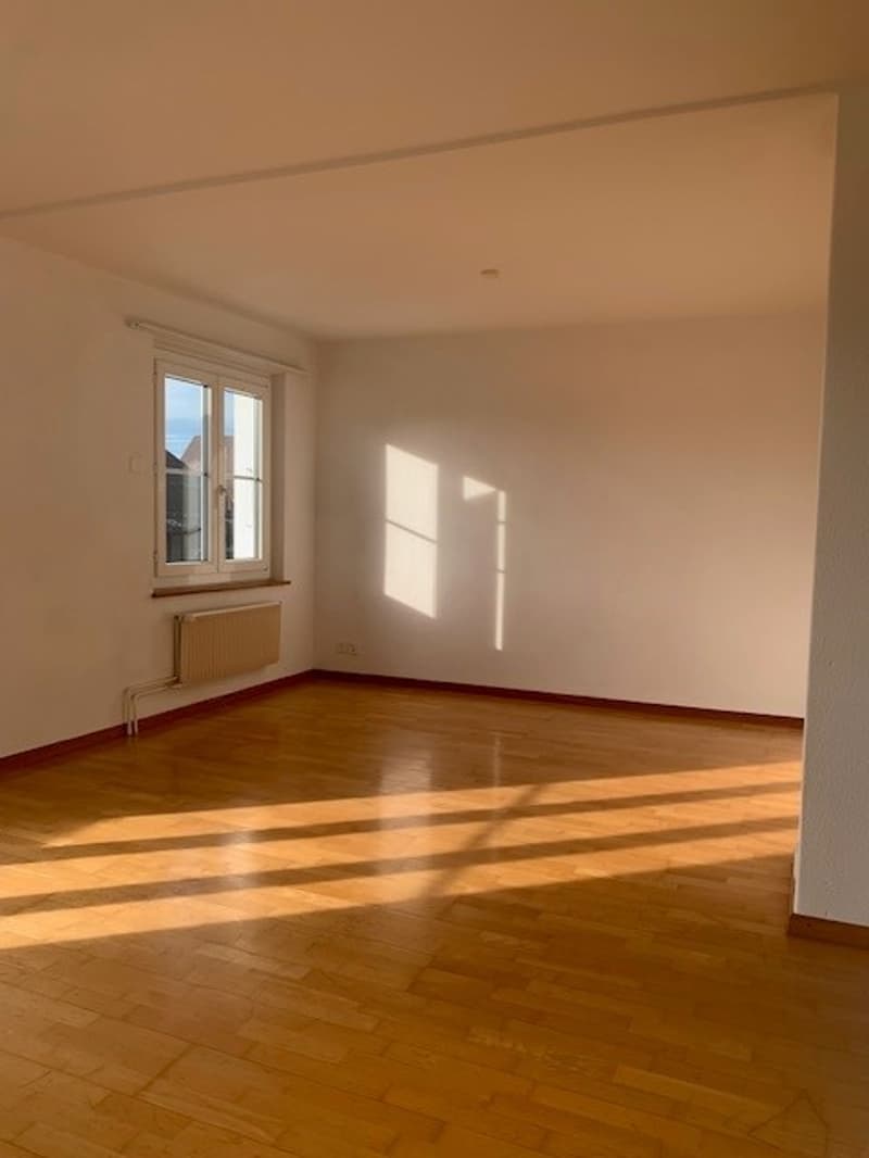 Appartement charmant avec vue sur les Alpes ! (5)