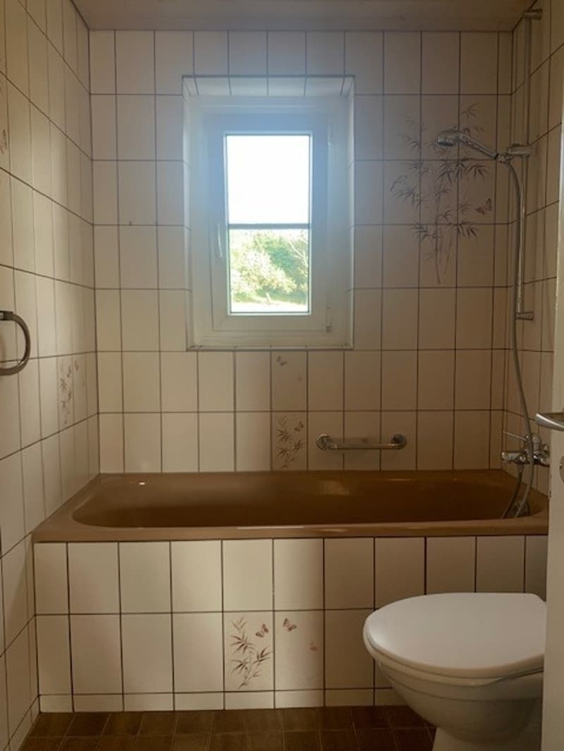 Appartement charmant avec vue sur les Alpes ! (13)