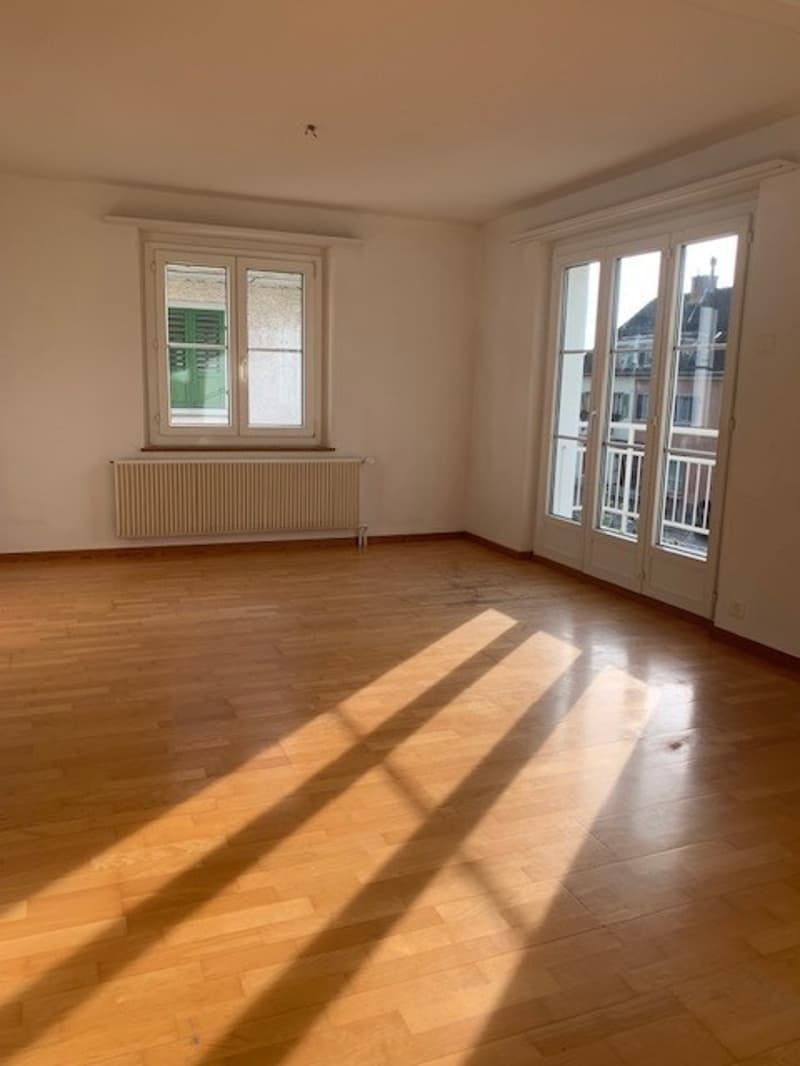 Appartement charmant avec vue sur les Alpes ! (3)