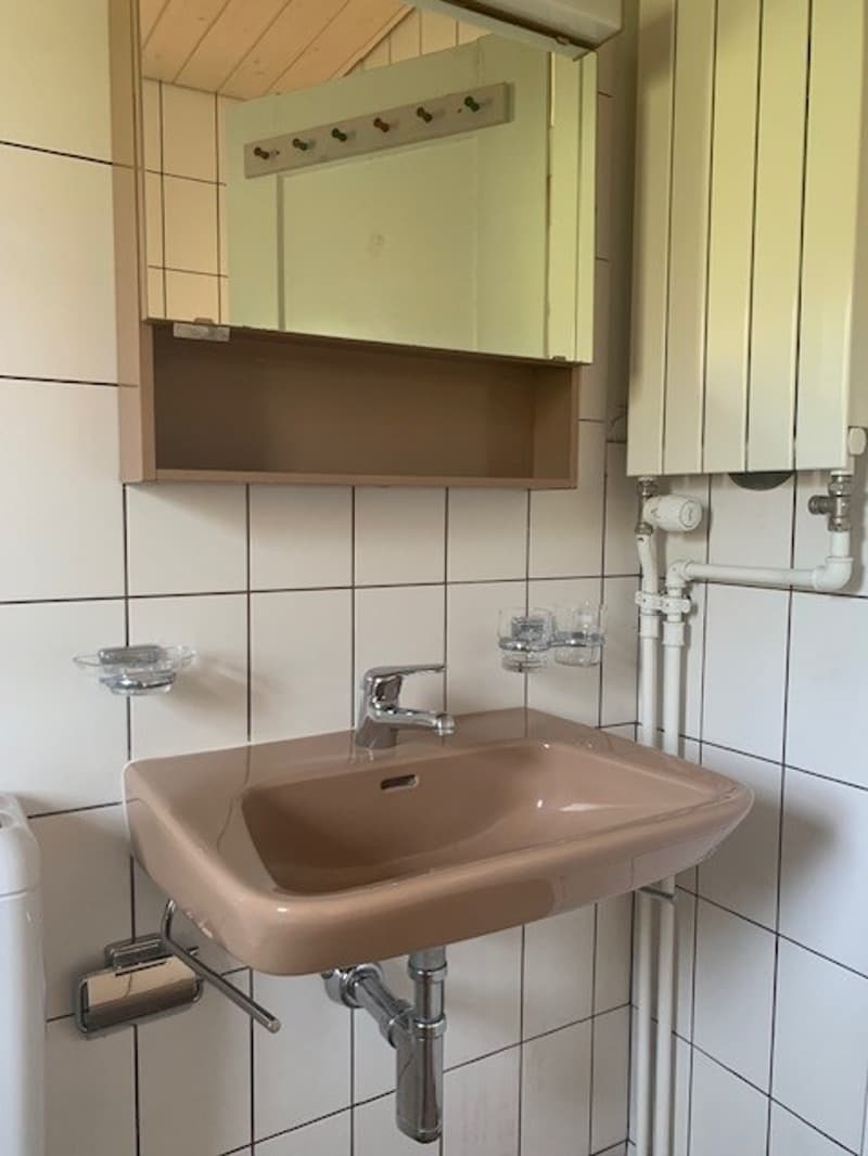 Appartement charmant avec vue sur les Alpes ! (14)