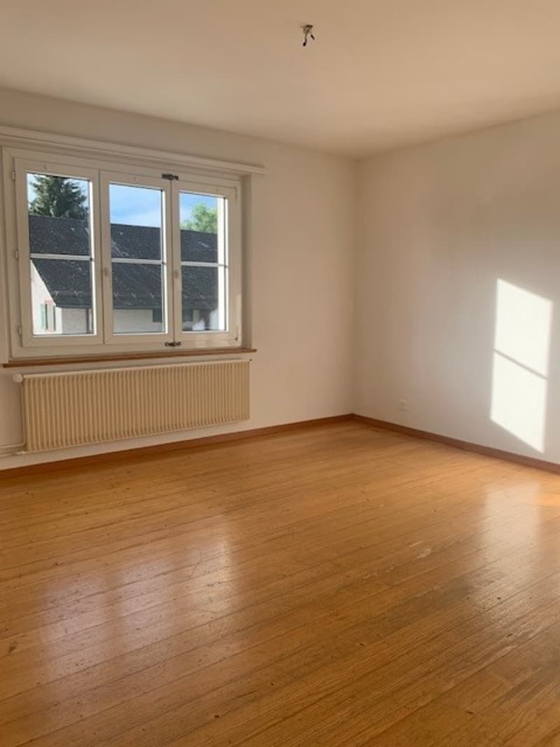 Appartement charmant avec vue sur les Alpes ! (4)