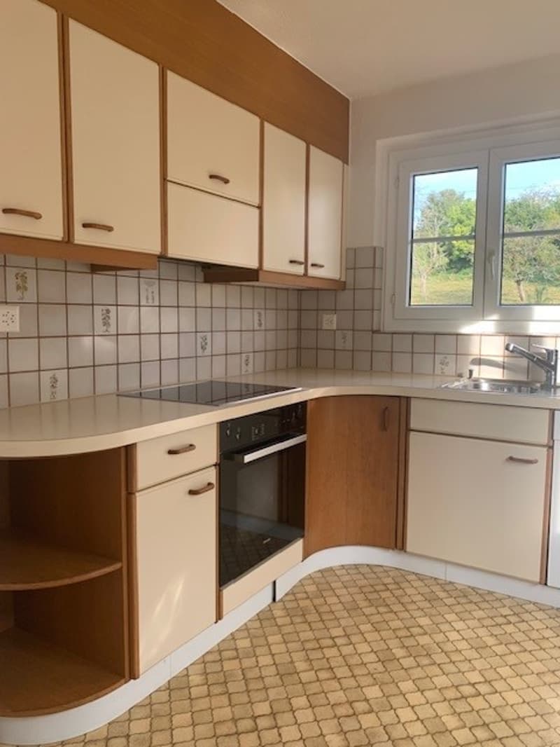 Appartement charmant avec vue sur les Alpes ! (11)