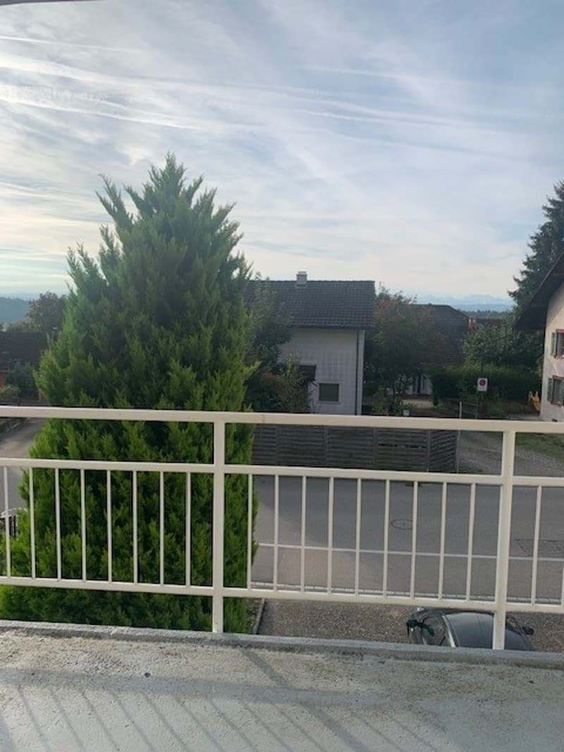 Appartement charmant avec vue sur les Alpes ! (15)
