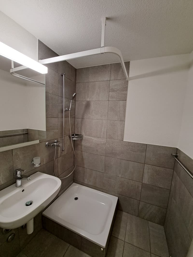 Appartamento moderno e luminoso di 3 camere - La tua nuova casa! (7)