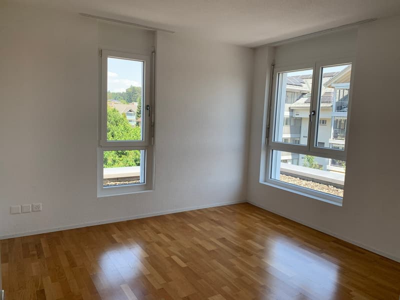 Moderne Attikawohnung mit grosser Terrasse in Bützberg (11)