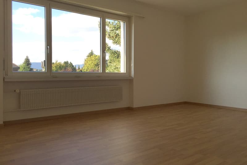 grosse 5.5-Zimmer-Familienwohnung in Langenthal (7)