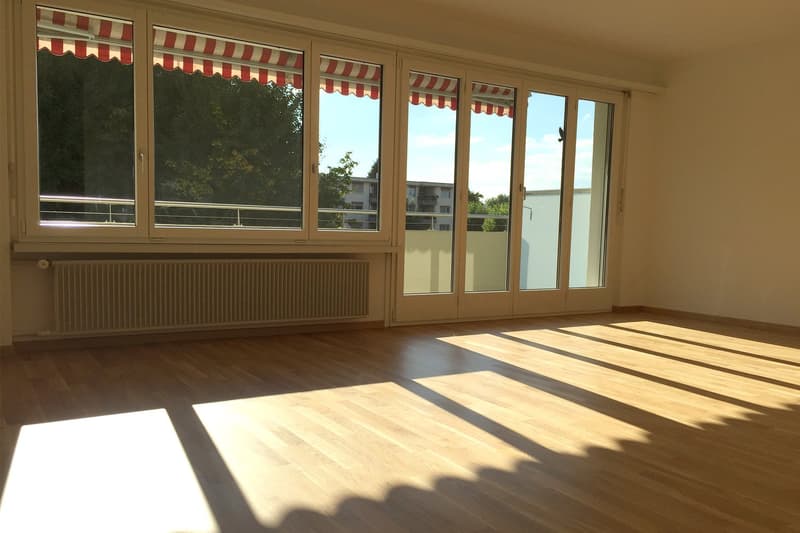 grosse 5.5-Zimmer-Familienwohnung in Langenthal (2)