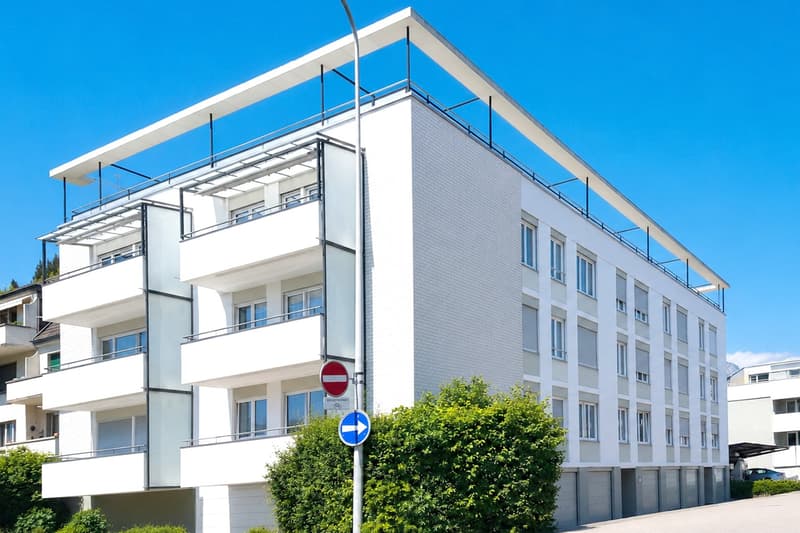 Über den Dächern von Solothurn (2)