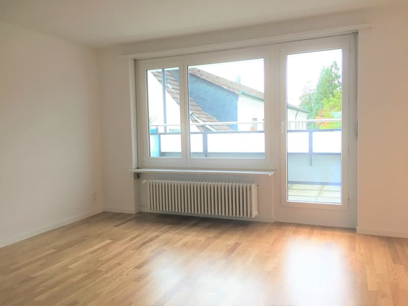 Über den Dächern von Solothurn (4)
