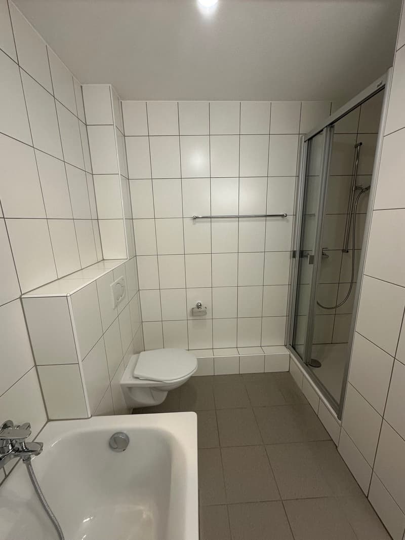 Familien-Wohnung im Hasenmatt-Quartier (7)
