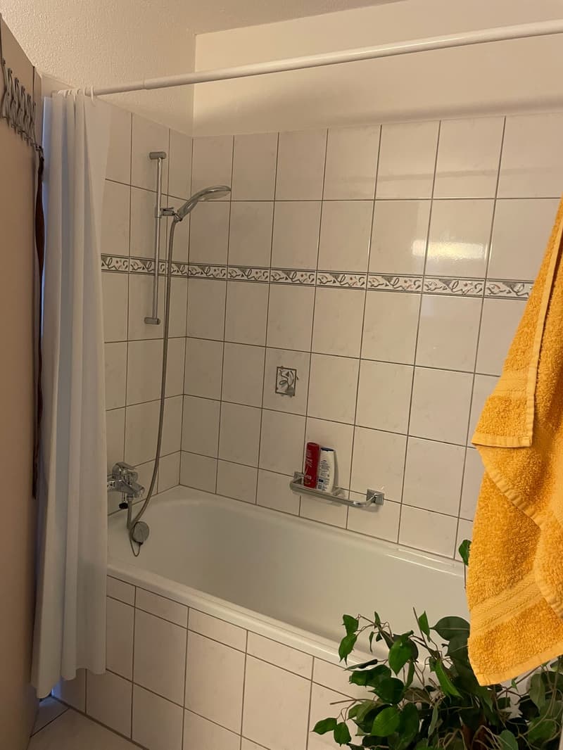 Moderne grosse 2.5-Zimmer-Wohnung (10)